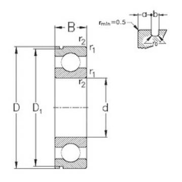 Rodamiento 6004-N NKE