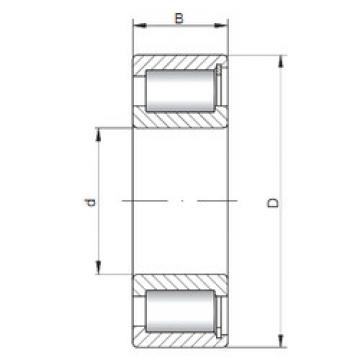 Rodamiento NCF2224 V ISO