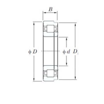 Rodamiento NUP240 KOYO