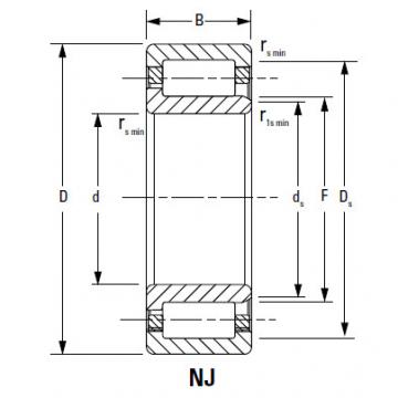 Bearing NJ232EMA