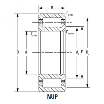 Bearing NJ319EMA