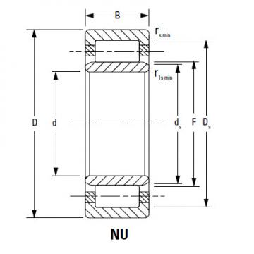 Bearing NJ2222EMA