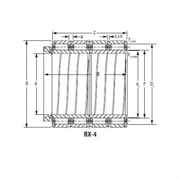 Bearing 440ARXS2245 487RXS2245