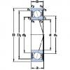 Rodamiento S71913 CE/P4A SKF #1 small image