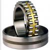 Bearing NNU4084MAW33 NNU49/630MAW33 #1 small image