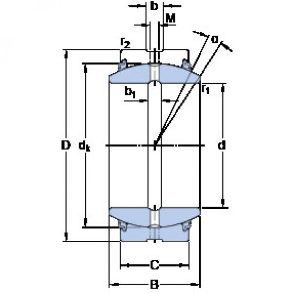 Rodamiento GE 110 ES-2LS SKF #1 image