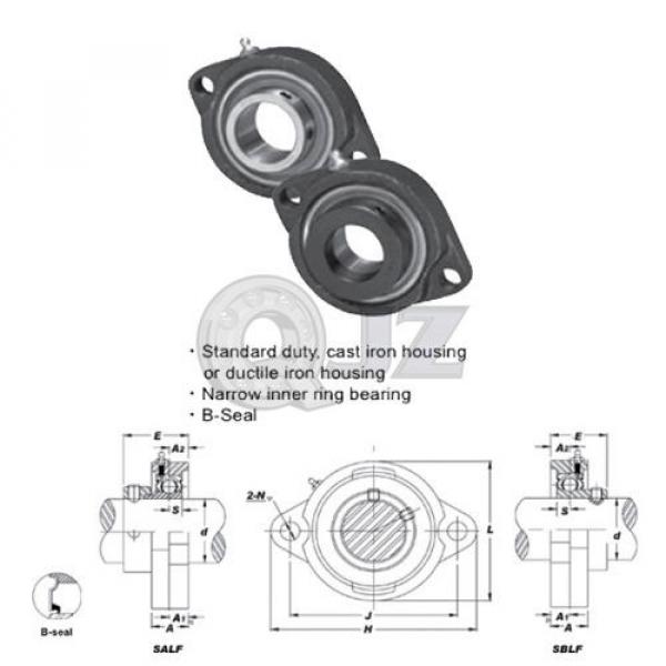 7/8 in 2-Bolt Flange Units Cast Iron SALF205-14 Mounted Bearing SA205-14+LF205 #4 image